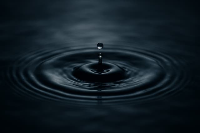 「錦織圭 嫁 やばい」イメージ画像2